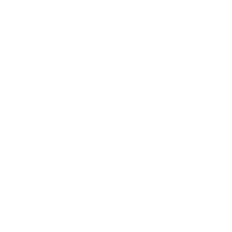 Africa Icon